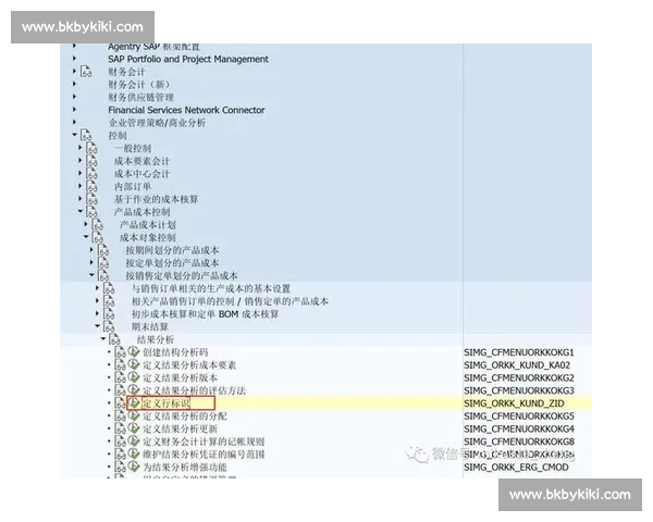 深度解说视角下的专业分析方法与实战应用探讨策略研究与案例解析